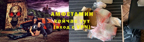 амф Верхний Тагил