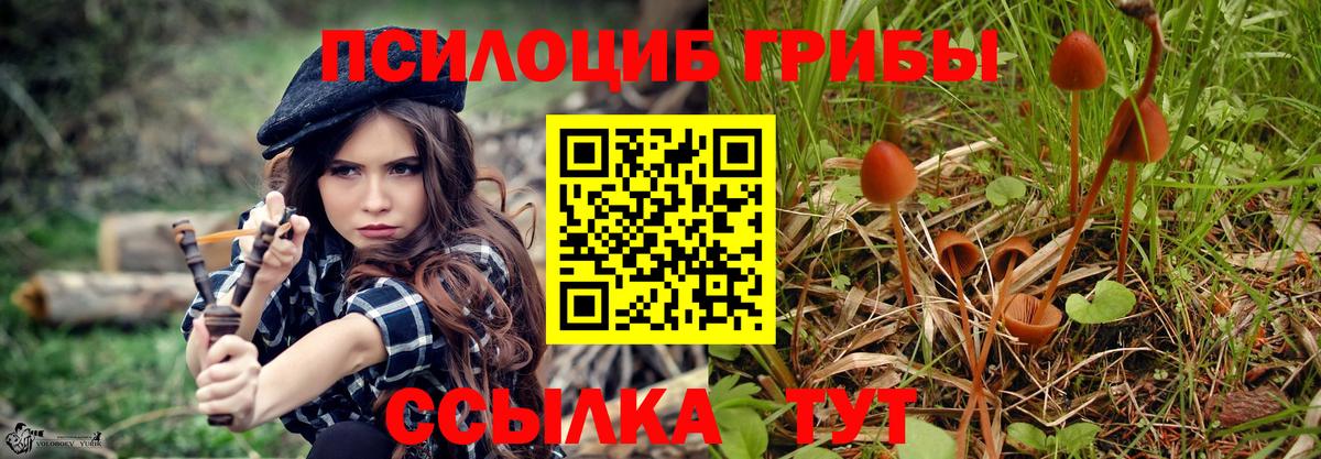 Галлюциногенные грибы MAGIC MUSHROOMS Химки