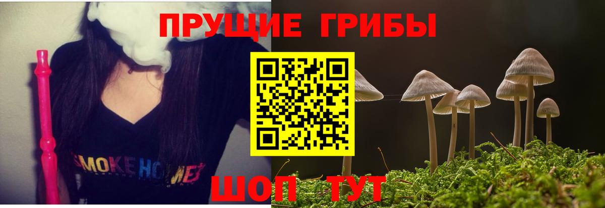 Галлюциногенные грибы Cubensis  Вход с VPN  Химки 